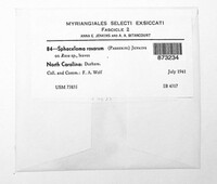Image Associated With the Occurence